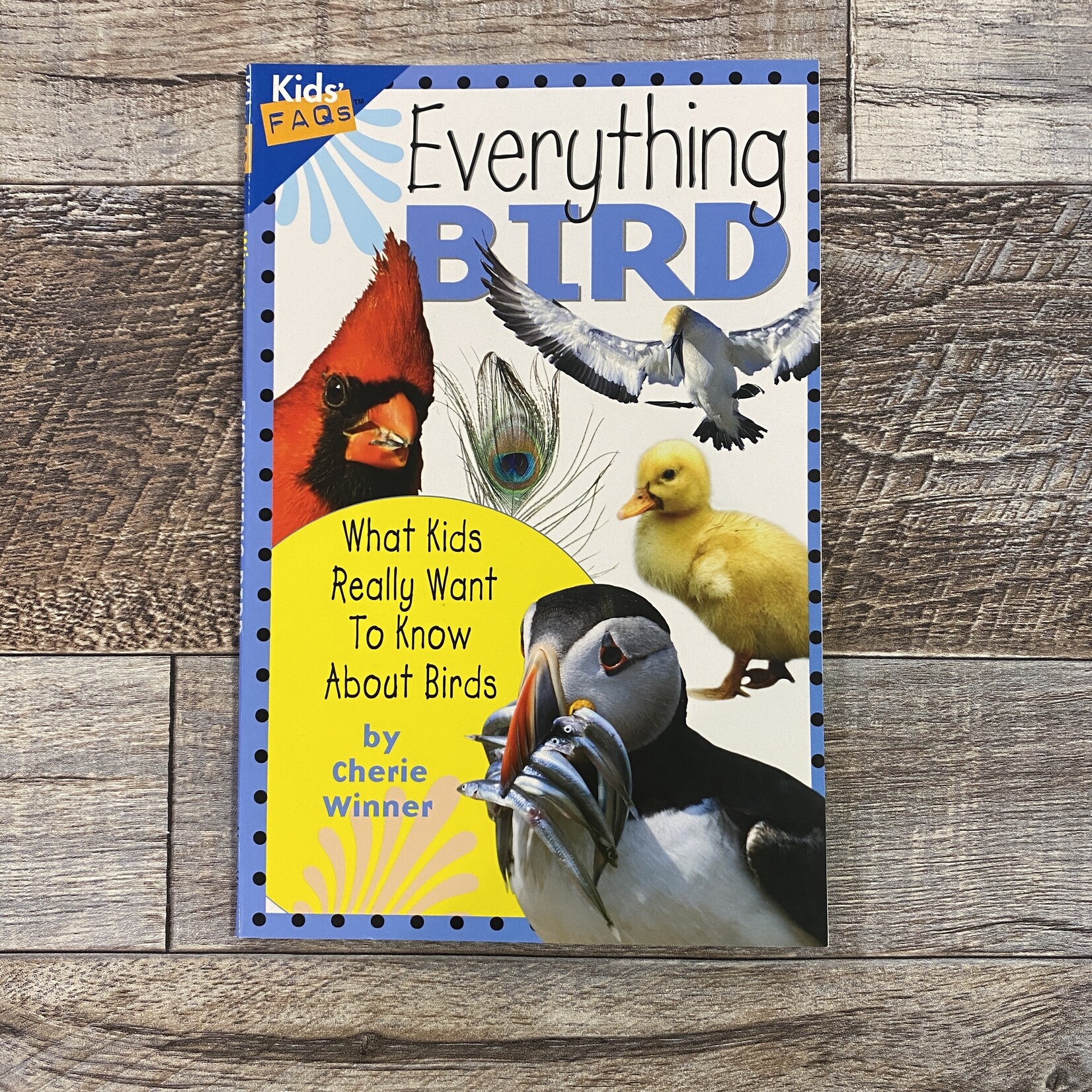 Everything Bird - What Kids Really Want to Know