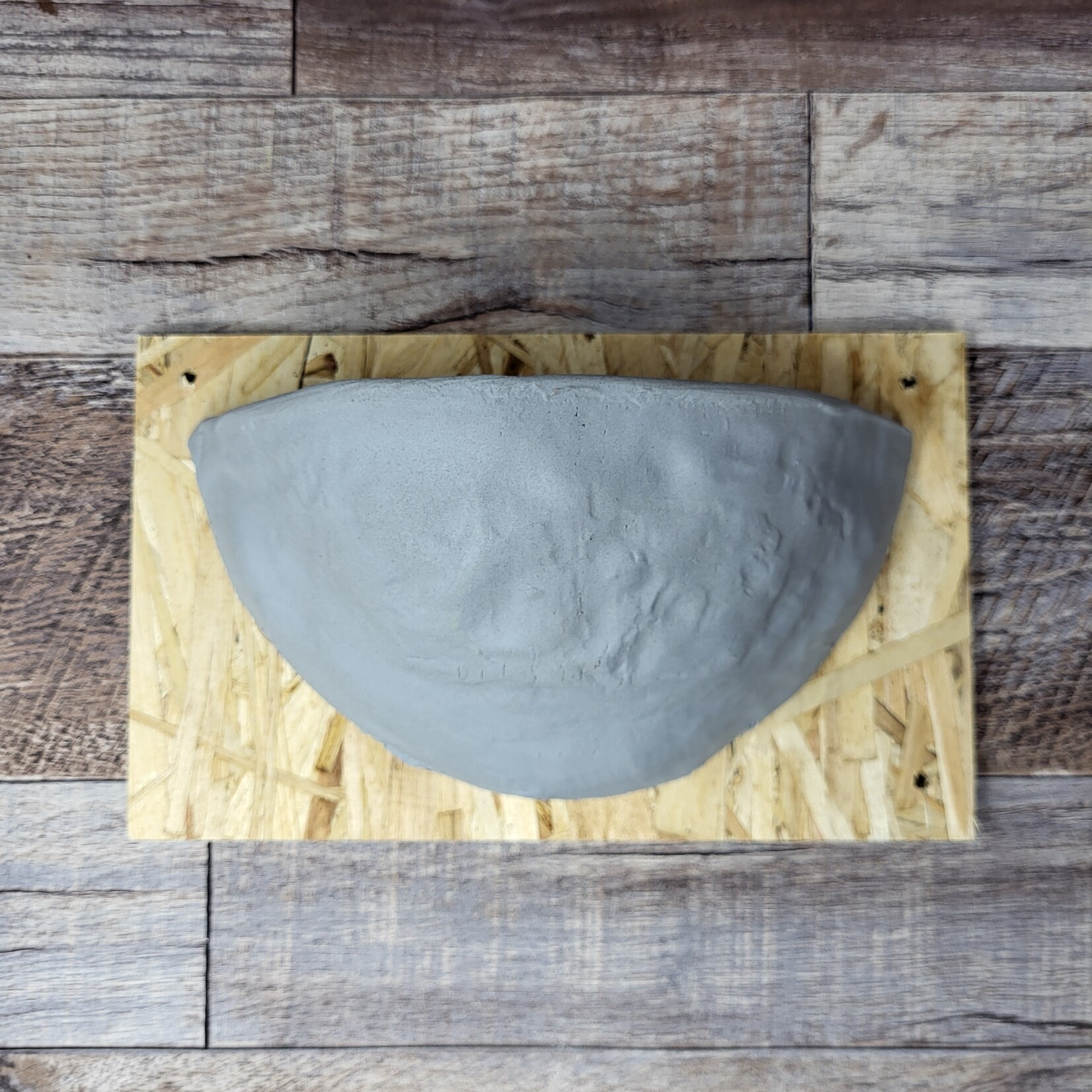 Barn Swallow Nest Cup