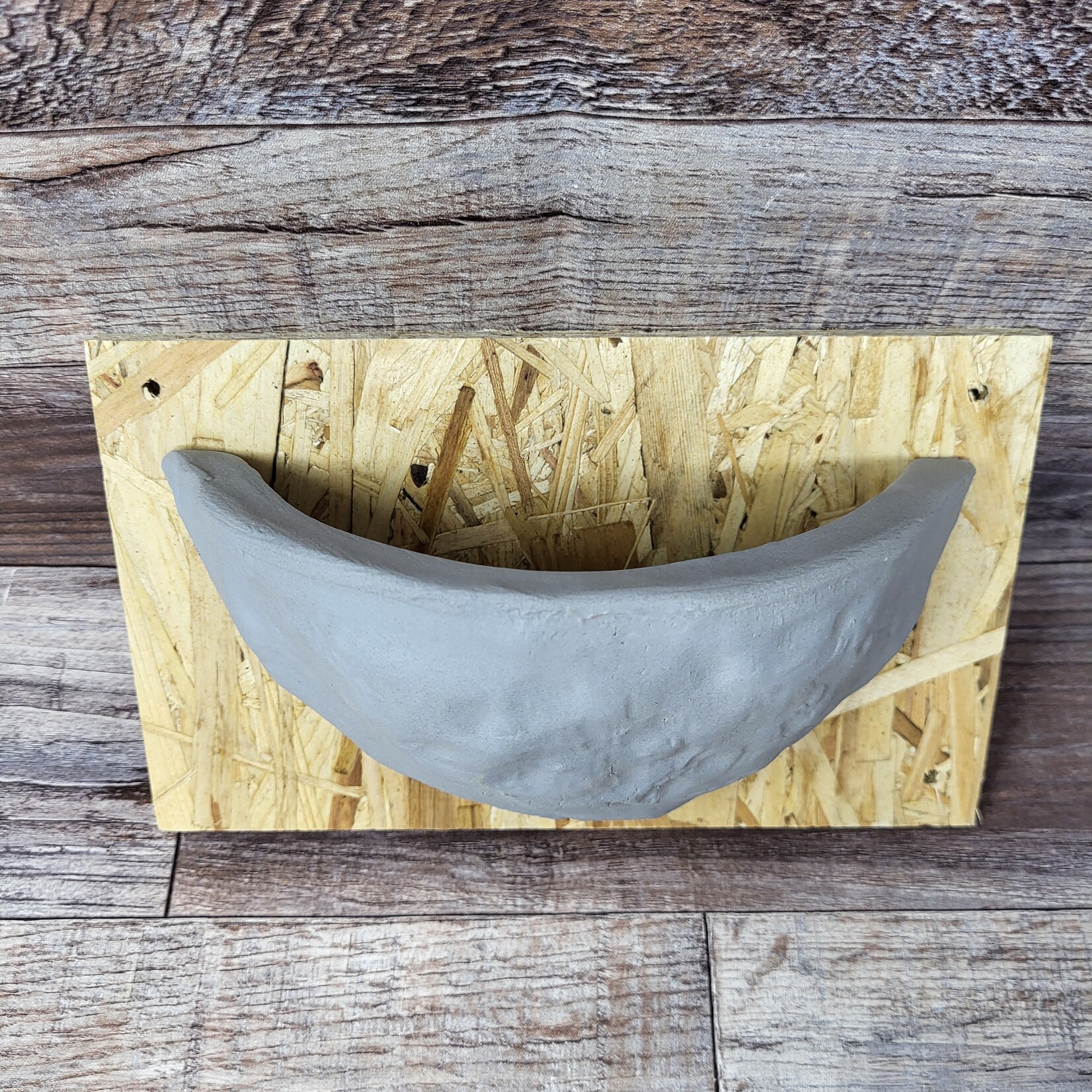 Barn Swallow Nest Cup