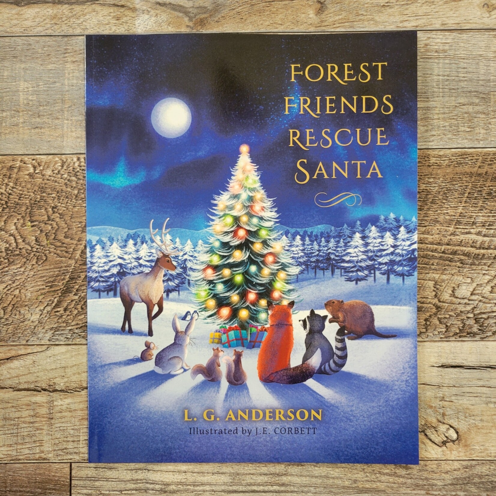 Forest Friends Rescue Santa Book by L.G. Anderson