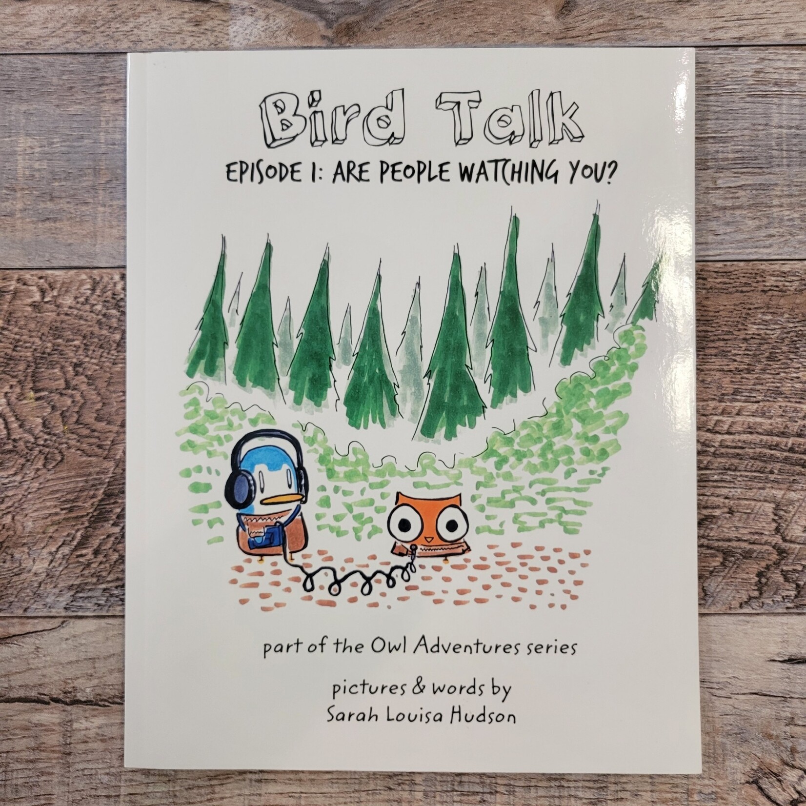 Bird Talk: Are People Watching You? (An Owl Adventures Book)