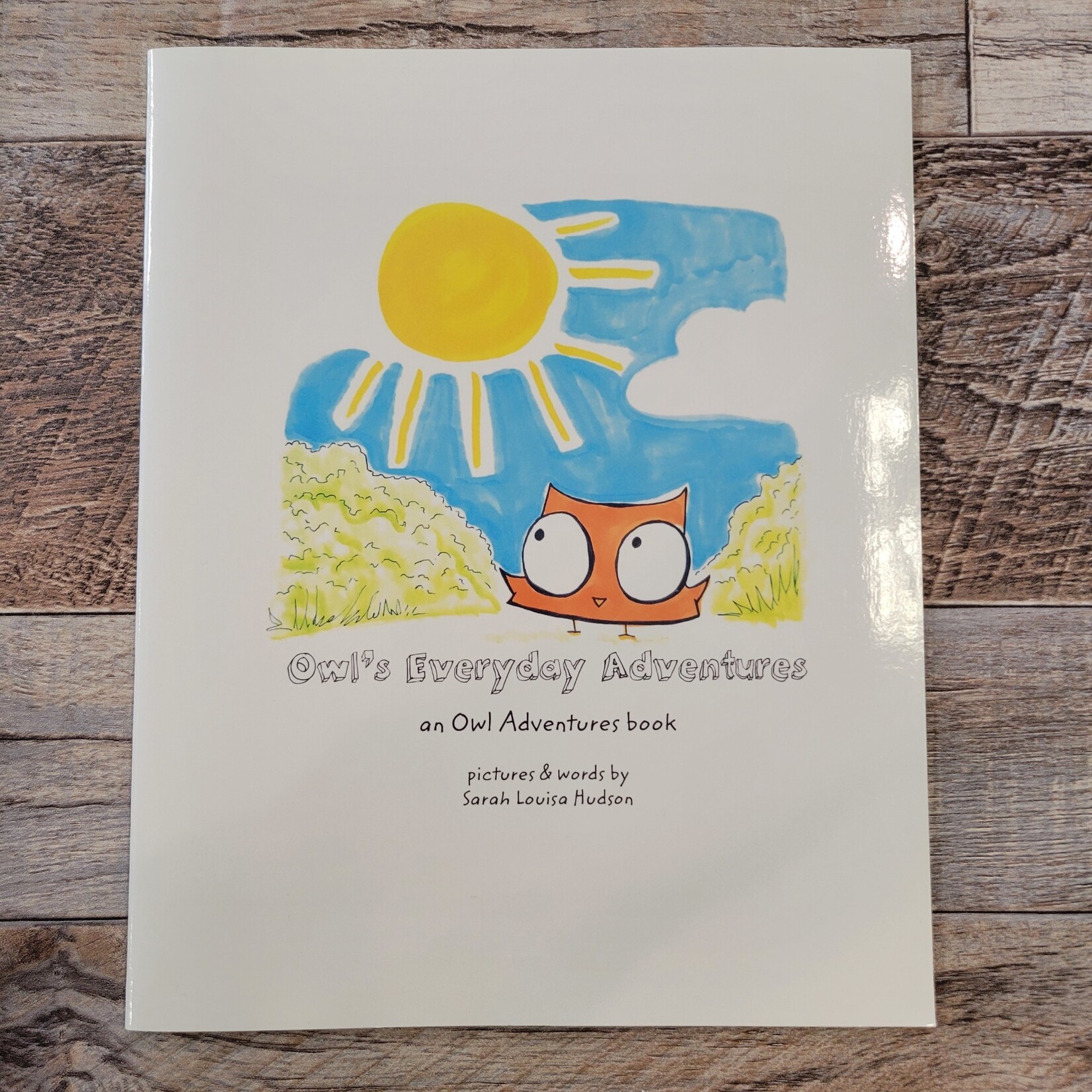 Owl's Everyday Adventures: The Very First Owl Adventures Book