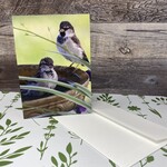 Dalouie's Greeting Card - Photo Bird Bath Sparrows