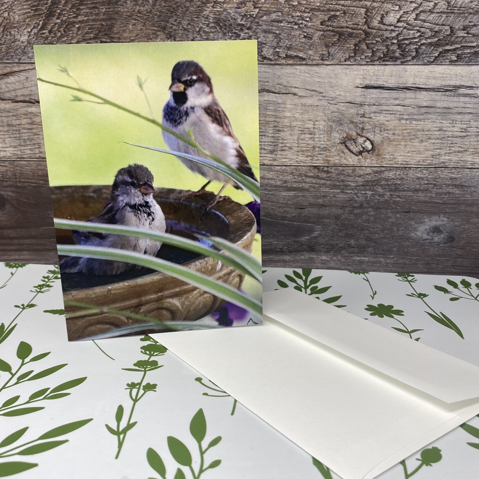 Dalouie's Greeting Card - Photo Bird Bath Sparrows