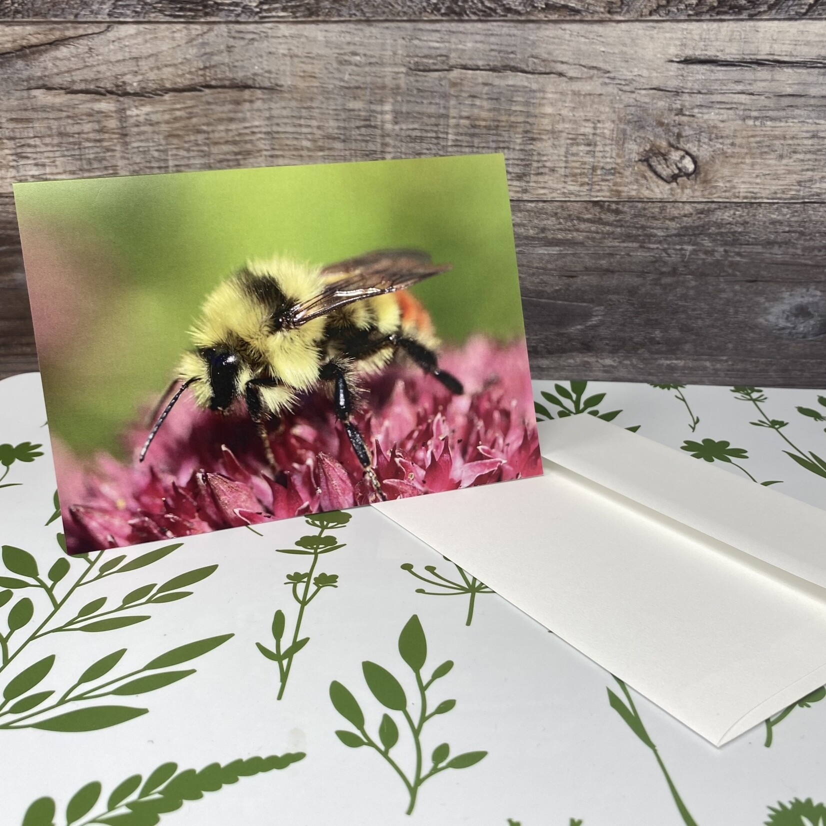 Dalouie's Greeting Card - Photo Bee on Flower