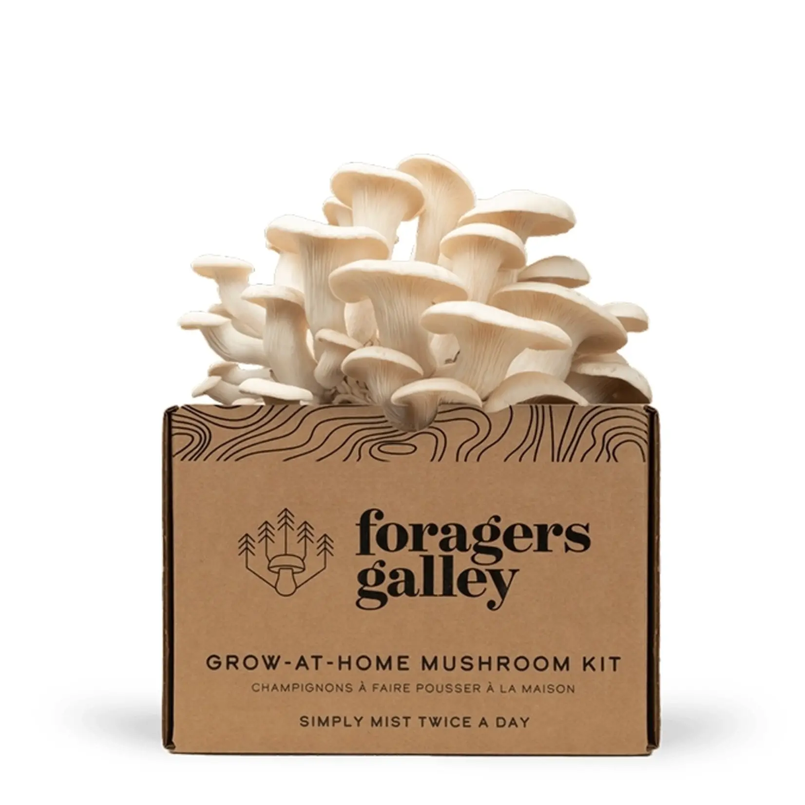 Grow-at-Home Kit - Snow Oyster Mushroom