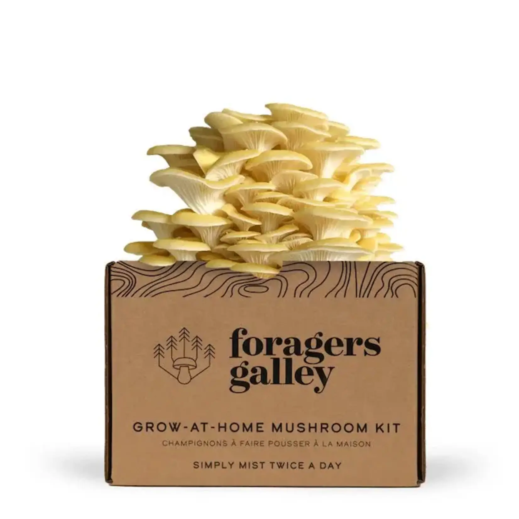 Grow-at-Home Kit - Golden Oyster Mushroom