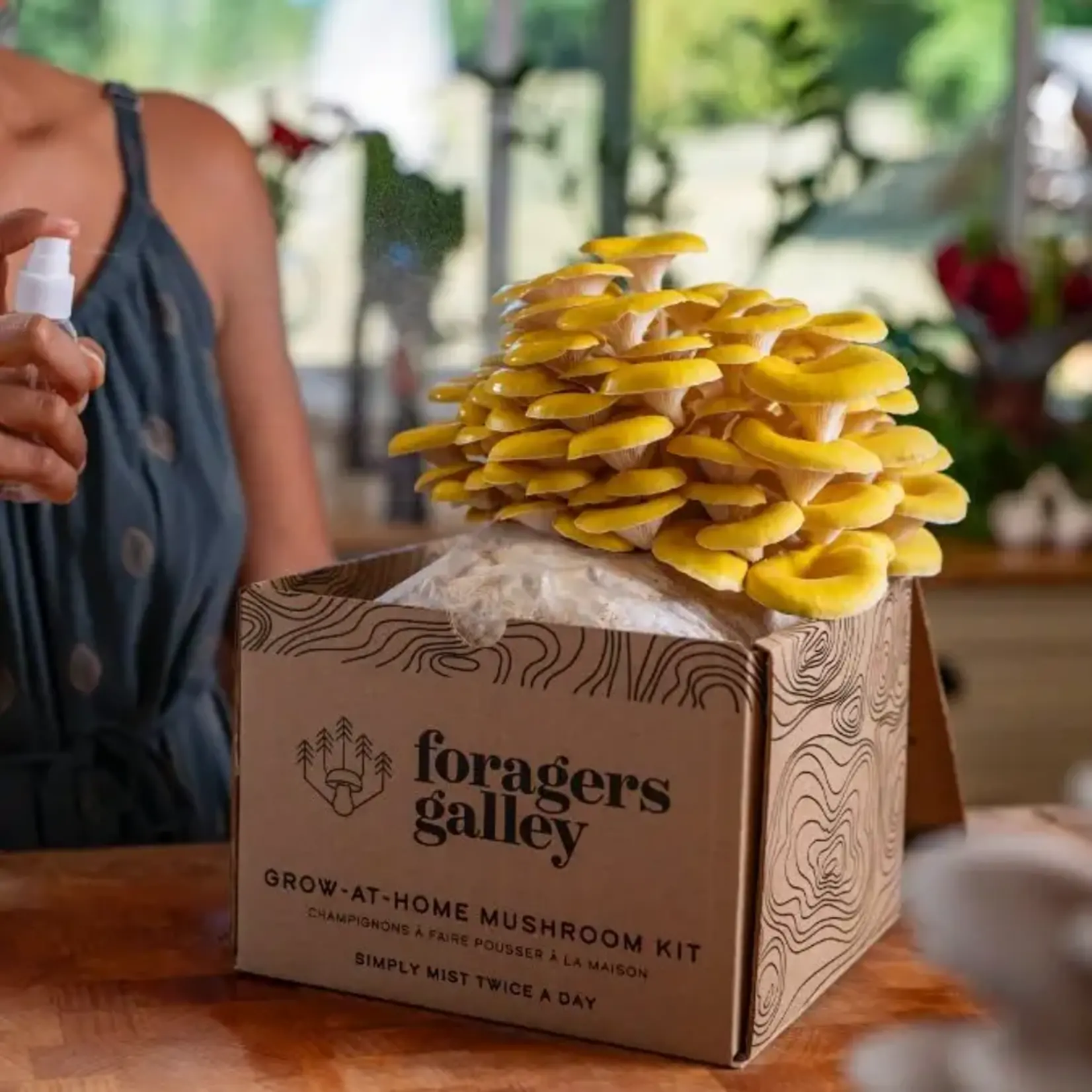 Grow-at-Home Kit - Golden Oyster Mushroom