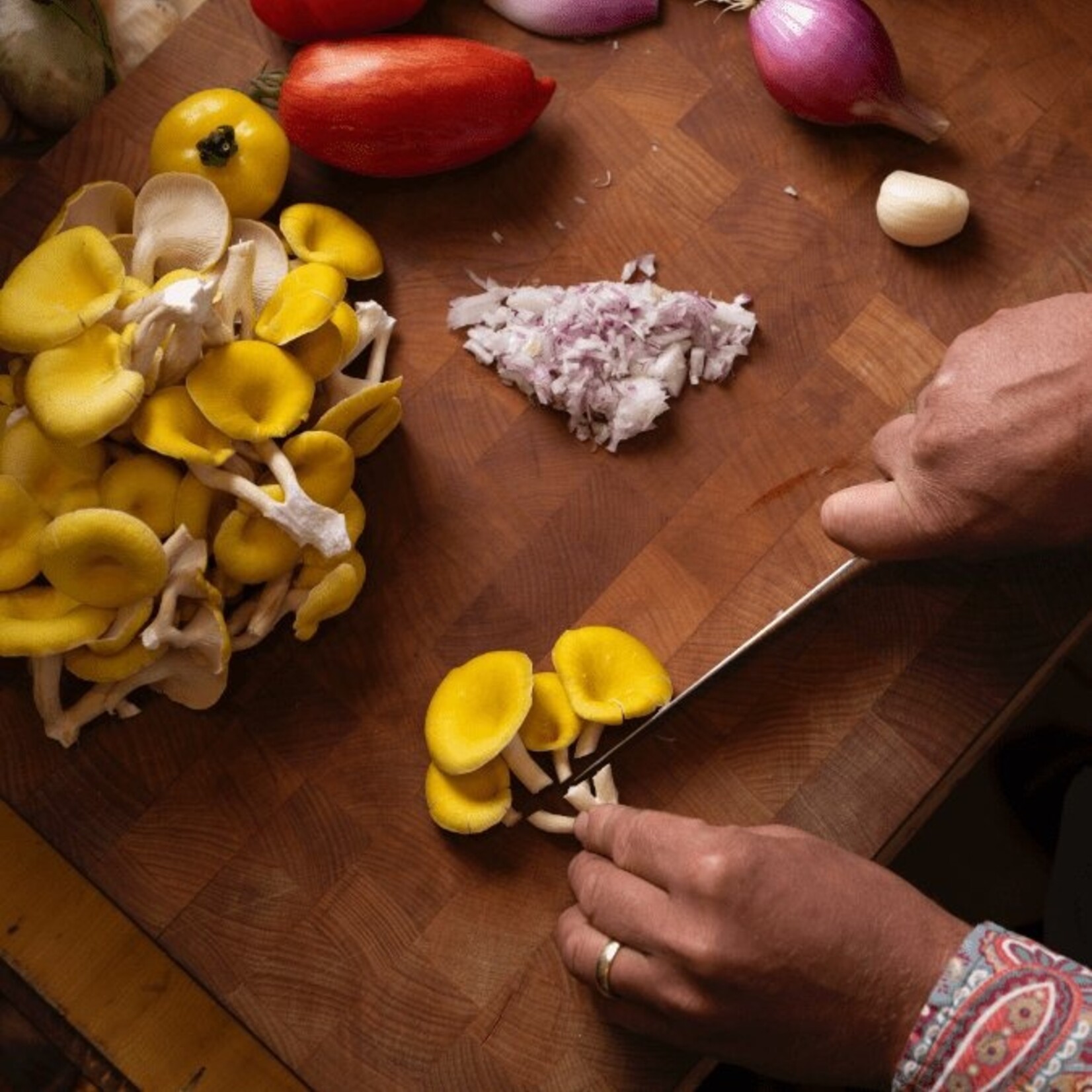 Grow-at-Home Kit - Golden Oyster Mushroom