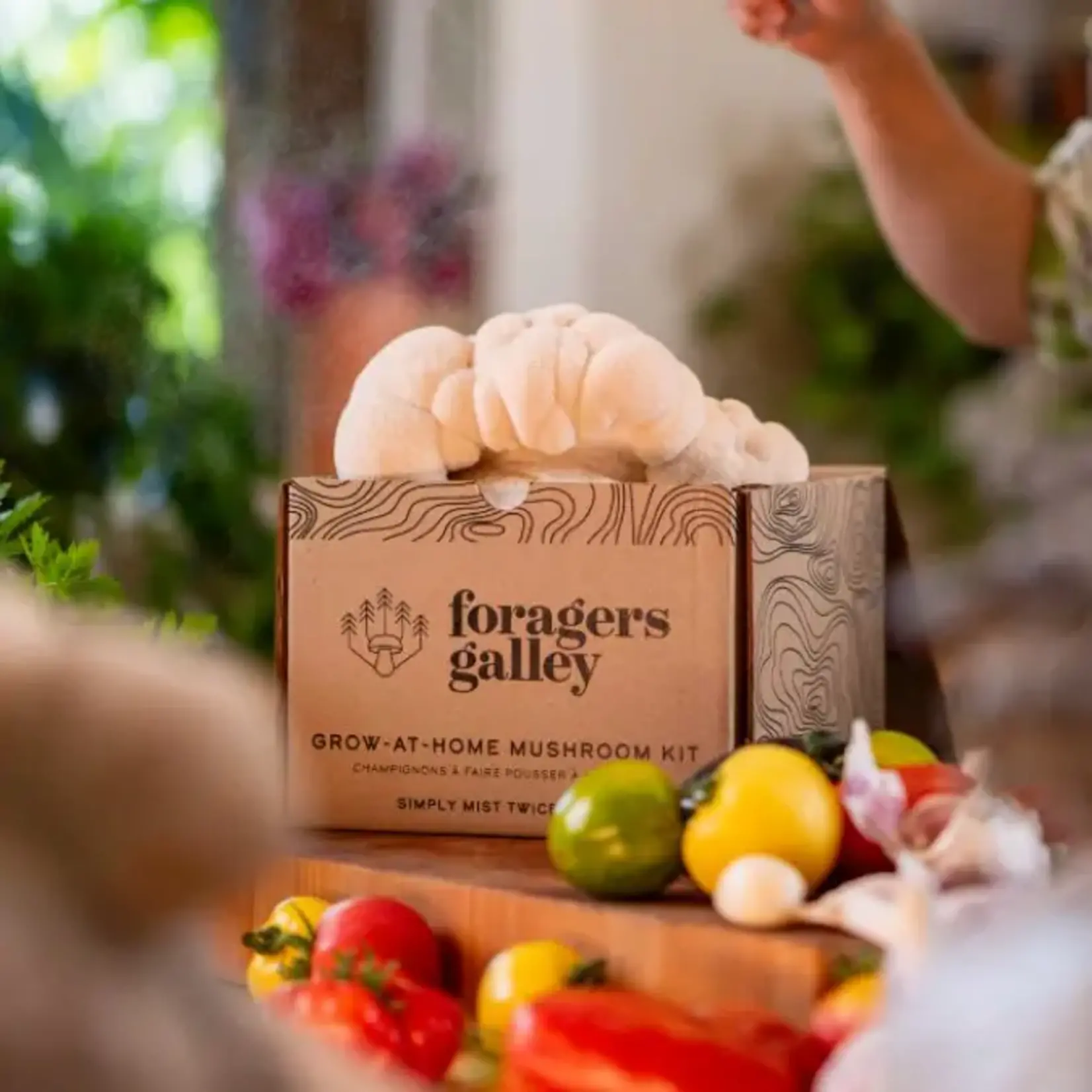 Grow-at-Home Kit - Lion's Mane Mushroom
