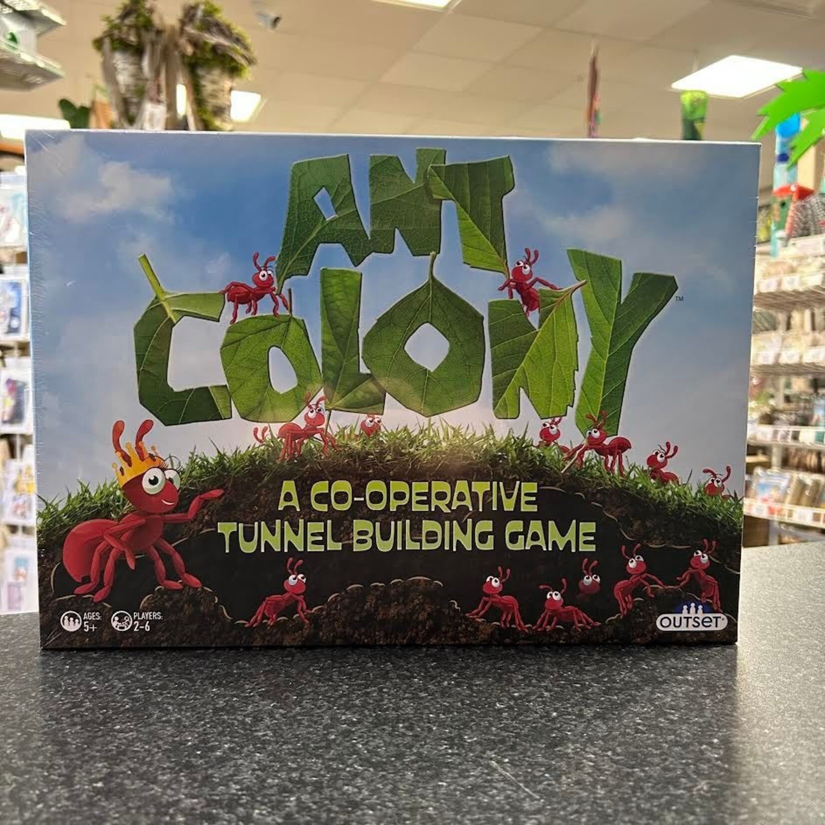 Ant Colony Board Game