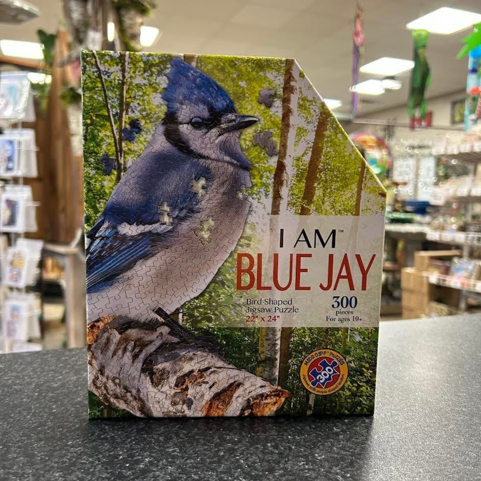 I Am Blue Jay - 300 pc Puzzle