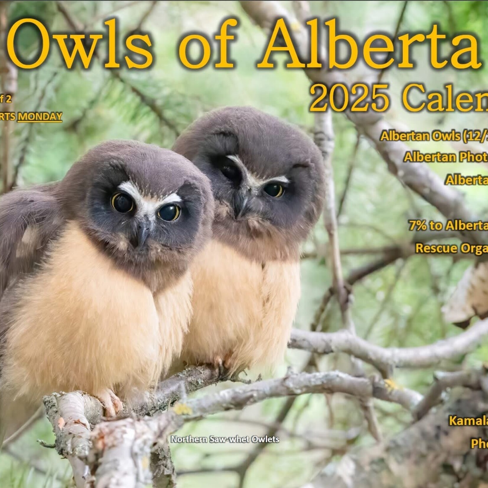 Kamala & Kyle Owls of Alberta 2025 Calendar