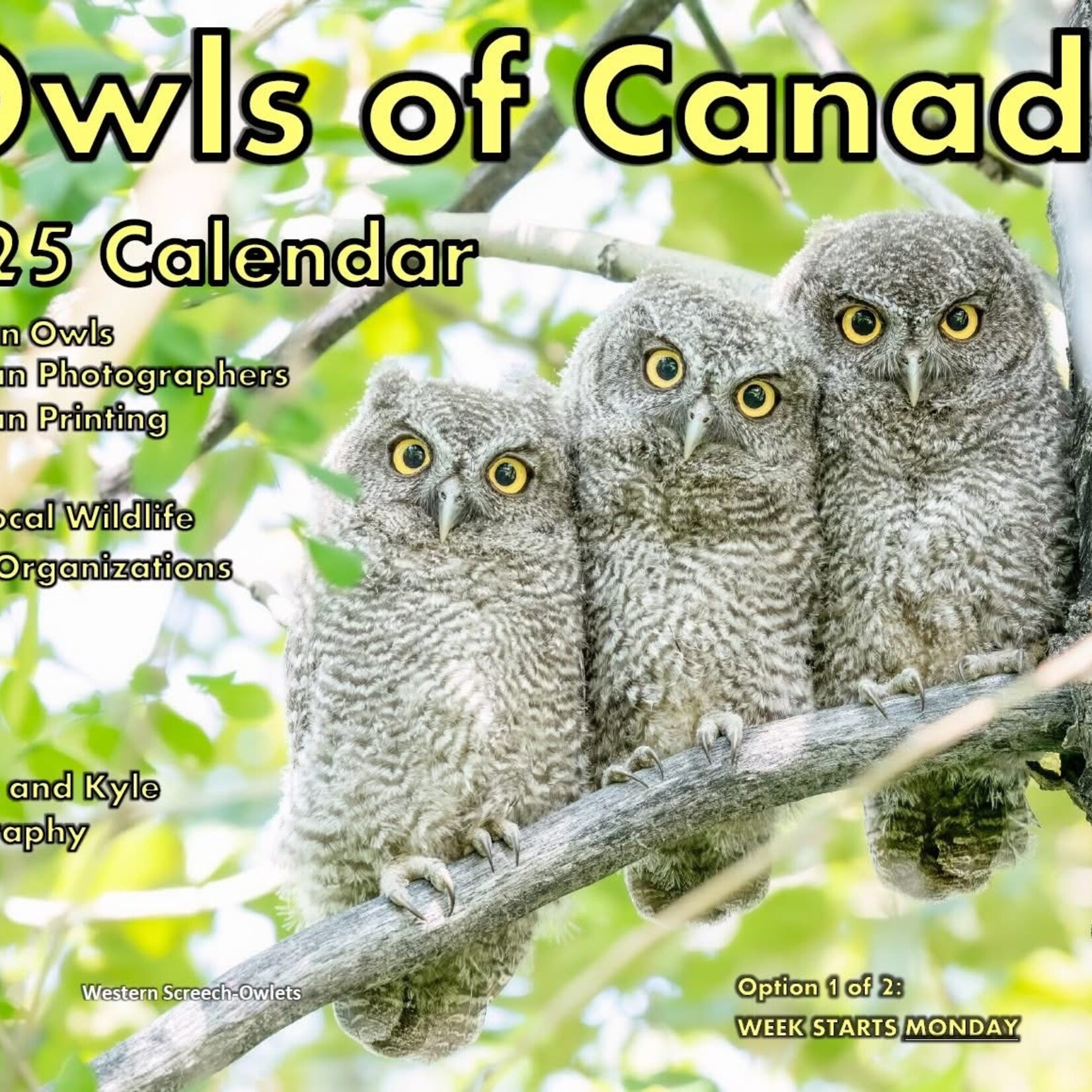 Kamala & Kyle Owls of Canada 2025 Calendar