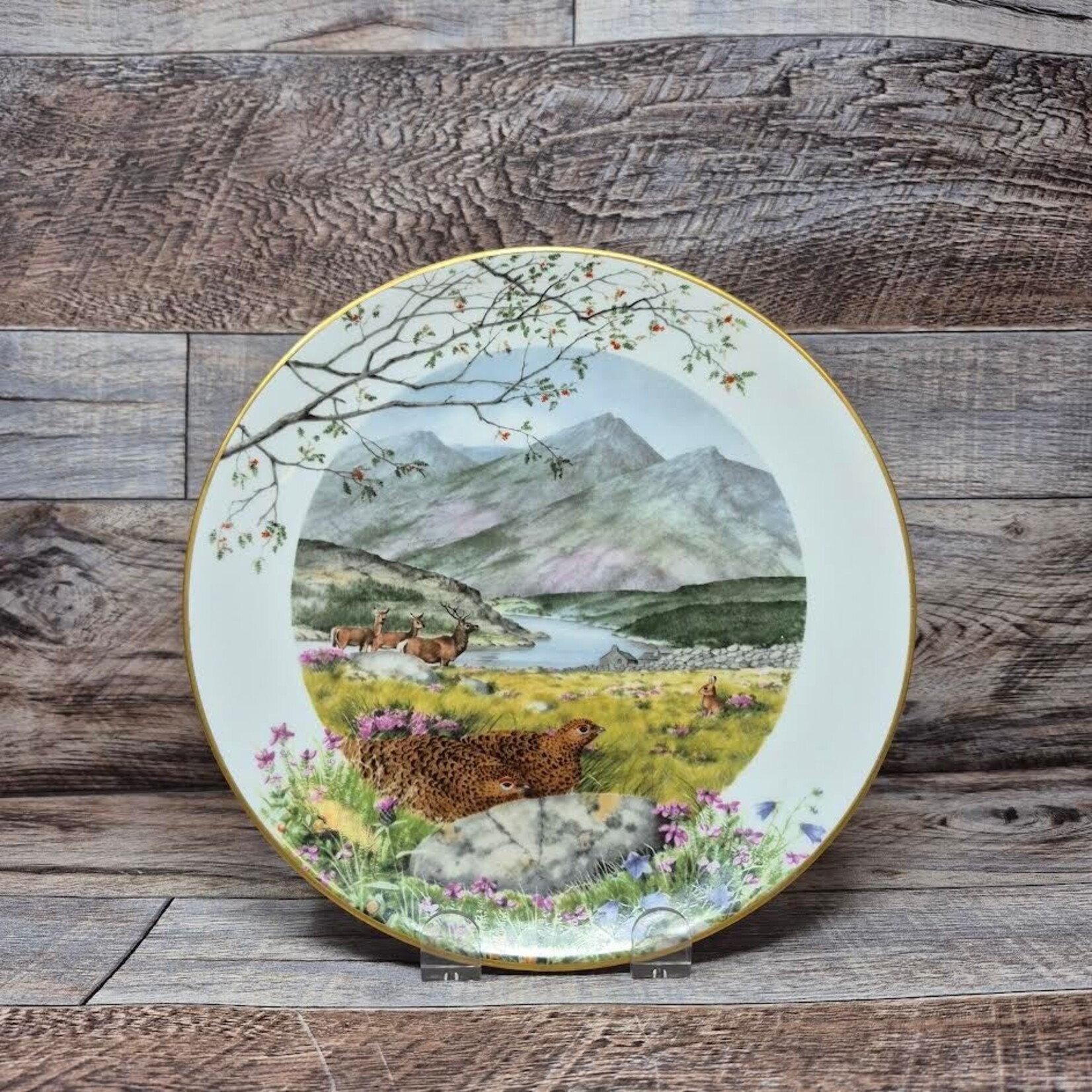 Collectable Bird Plates
