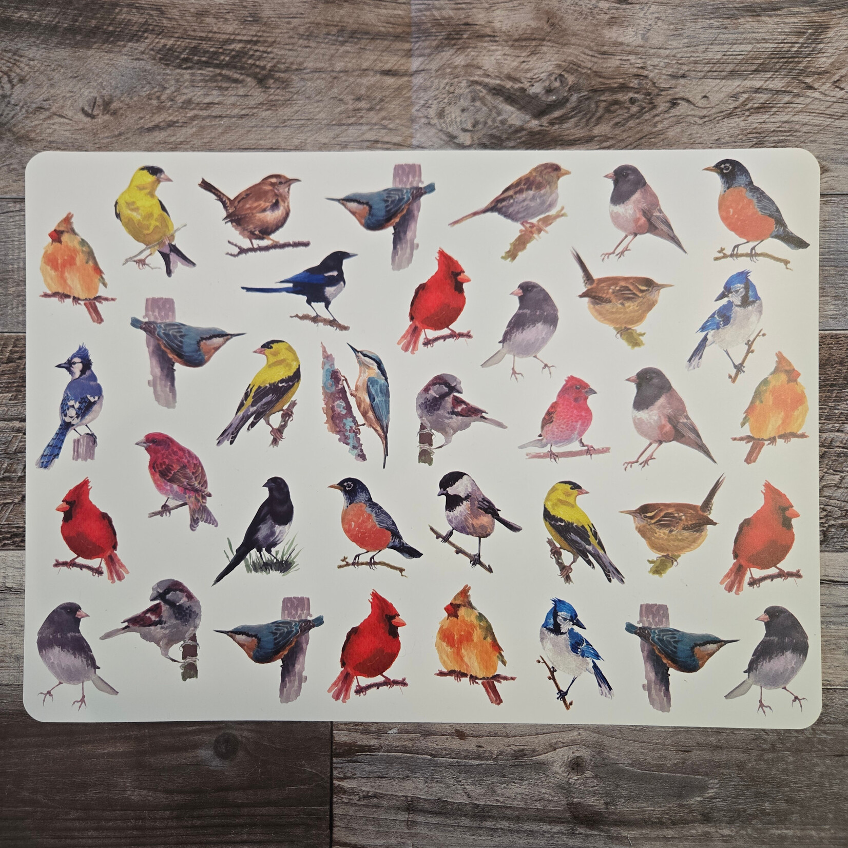 North American Birds - Placemat
