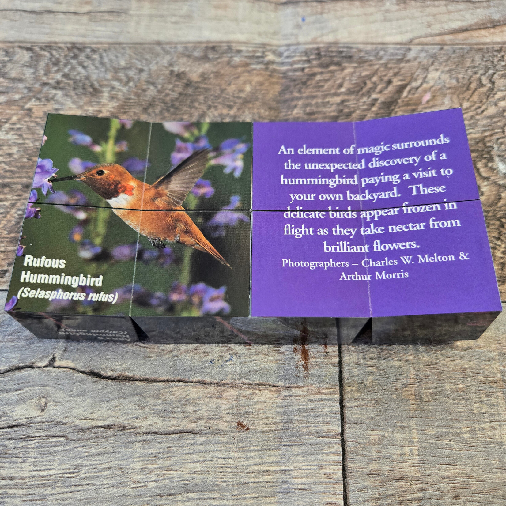 Hummingbirds of North America Block