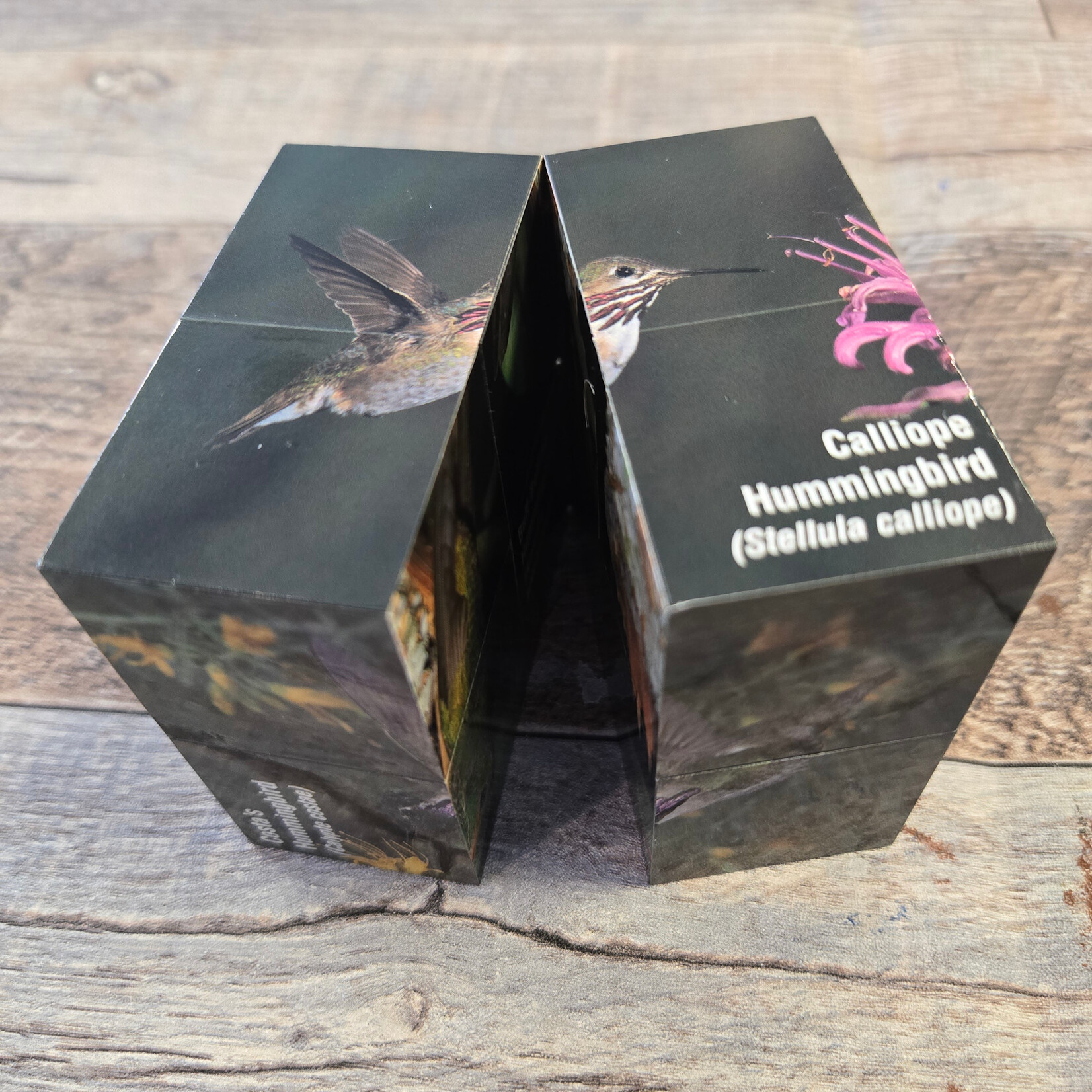 Hummingbirds of North America Block