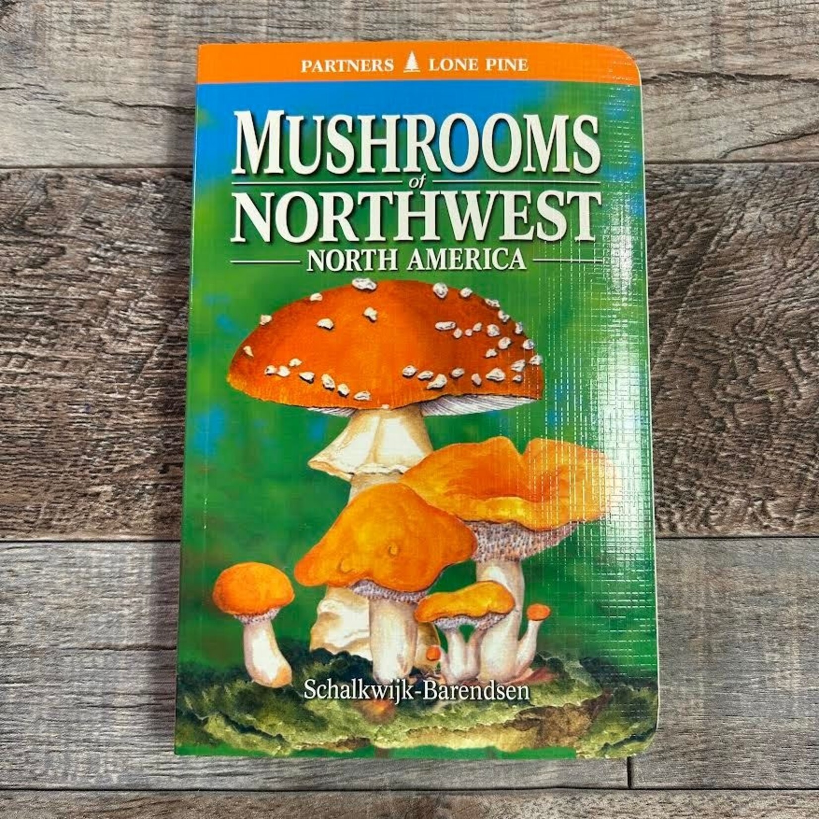 Mushrooms of Northwest North America