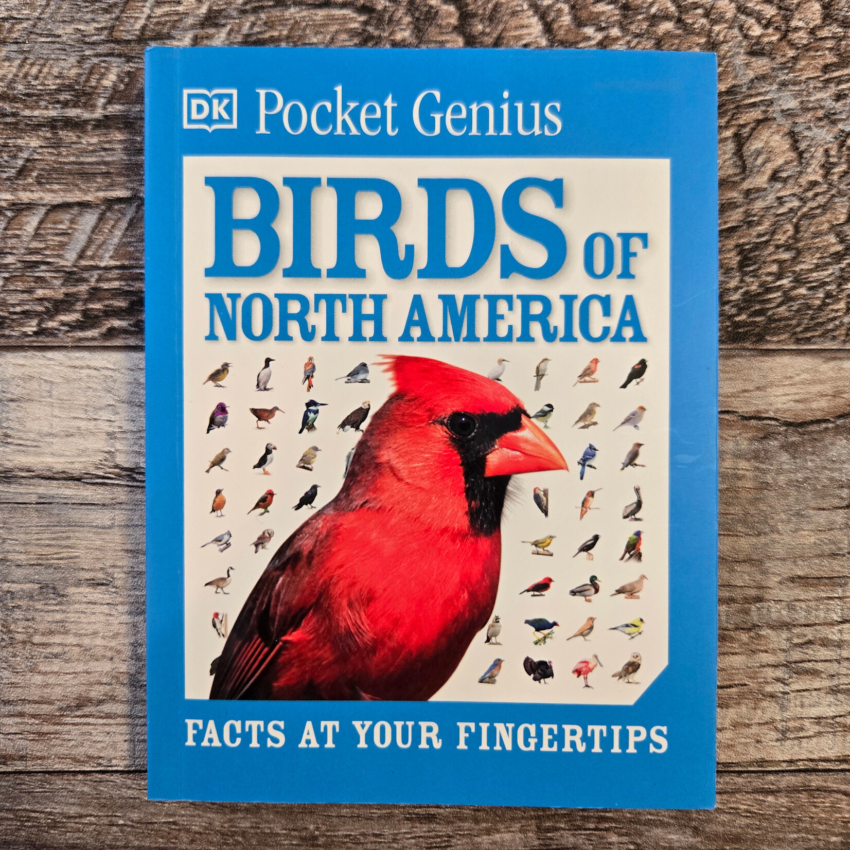 Pocket Genius Birds of North America