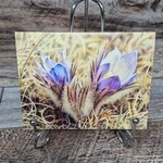 Alichino Design Art Card - Spring's Promise