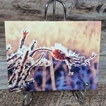 Alichino Design Art Card - In Winter's Grasp