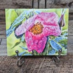 Alichino Design Art Card - Ethereal Beauty