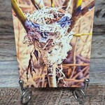 Alichino Design Art Card - Home Sweet Home