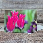 Dalouie's Greeting Card - Photo Hot Pink Tulips