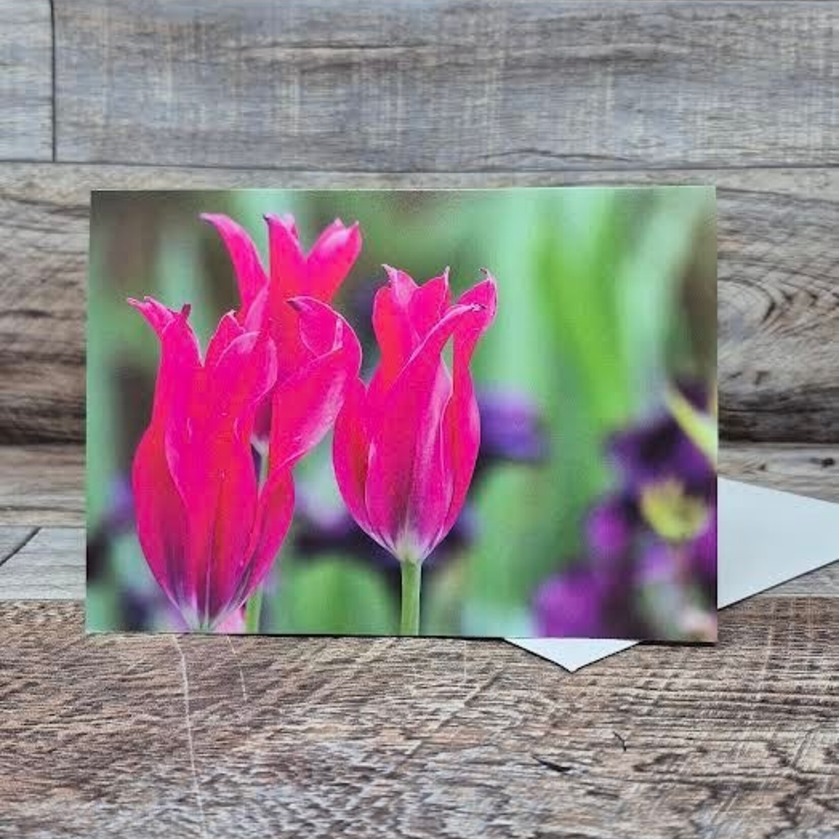 Dalouie's Greeting Card - Photo Hot Pink Tulips