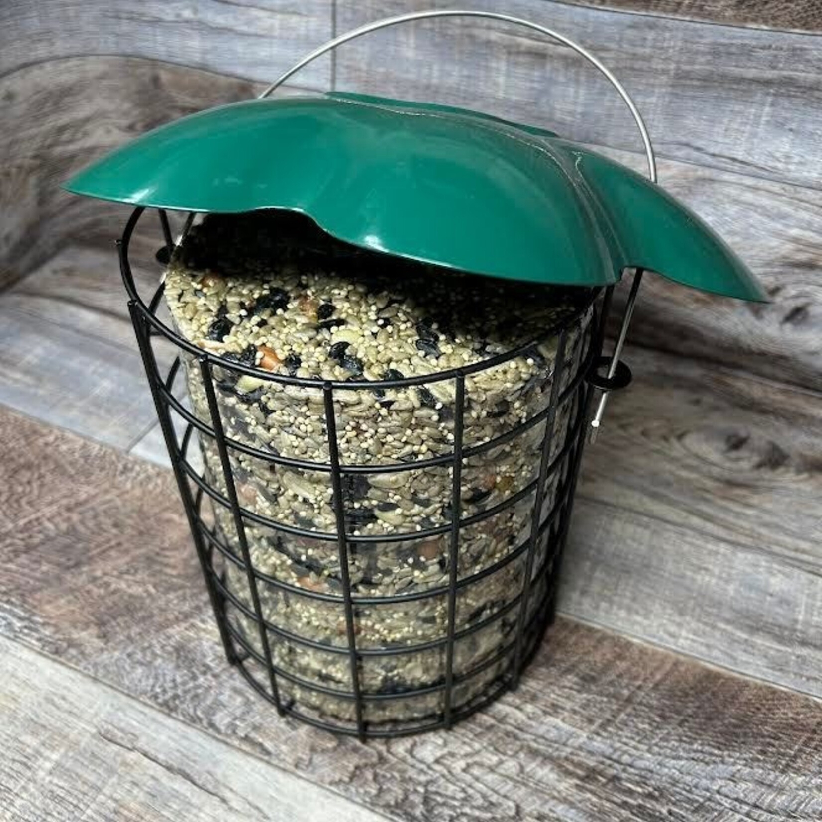 Large Green Seed Log Feeder