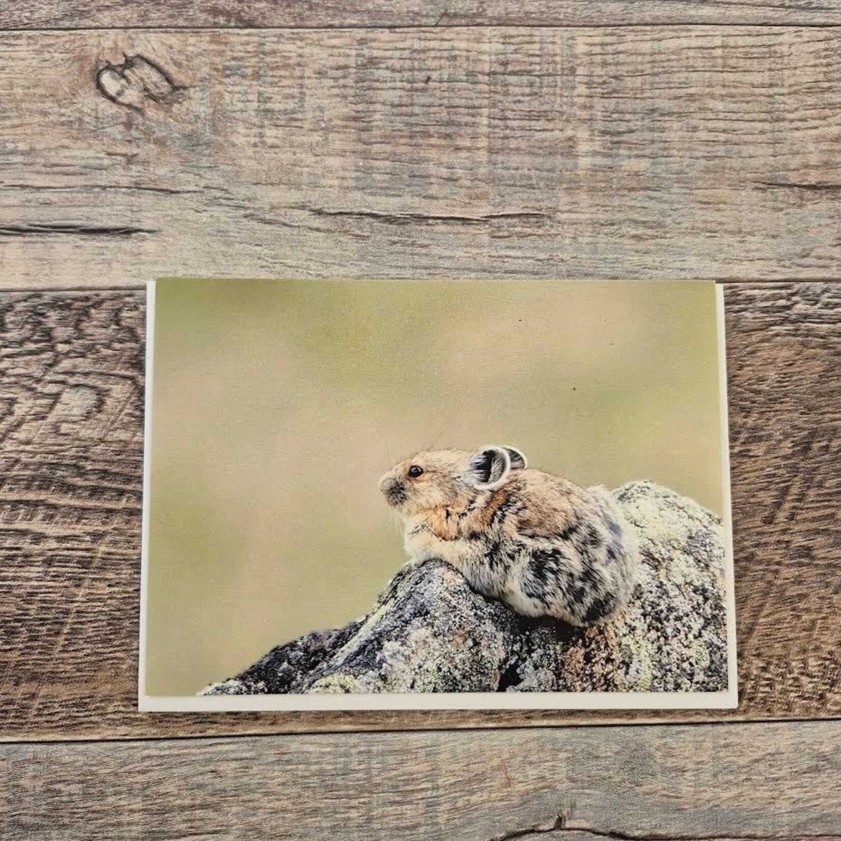 Kamala & Kyle Greeting Card - Pika