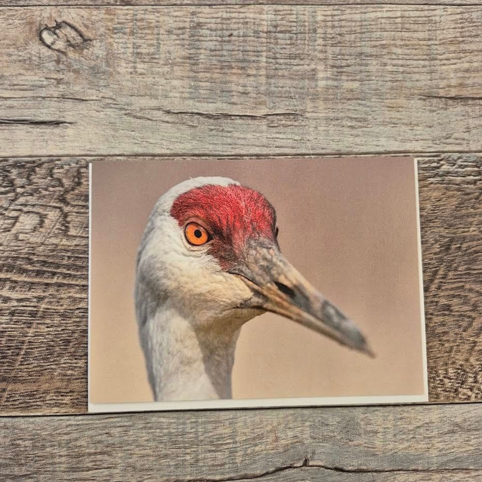 Kamala & Kyle Greeting Card - Sandhill Crane