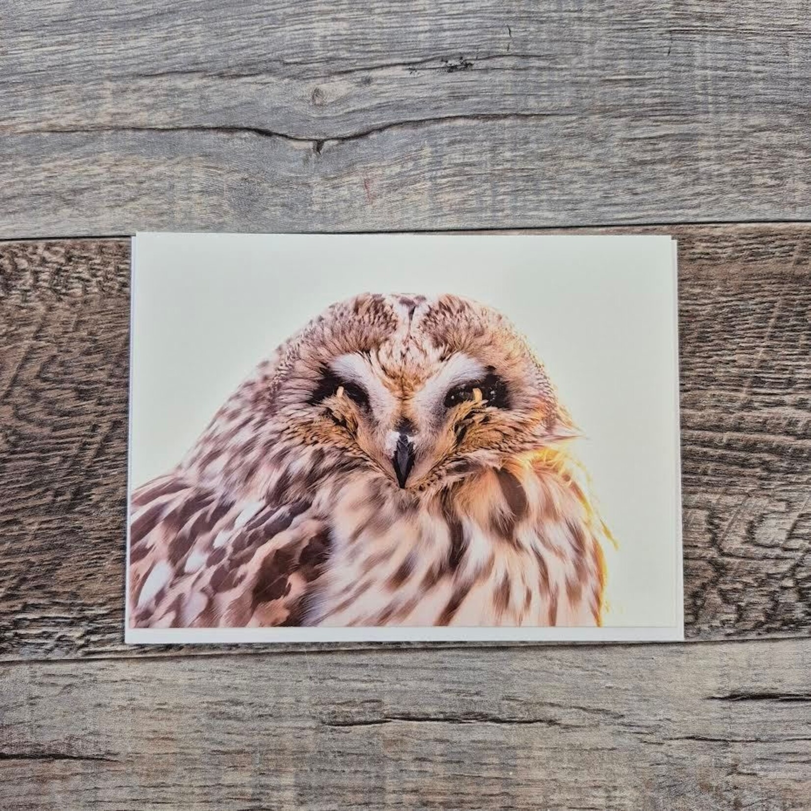Kamala & Kyle Greeting Card - Short-Eared Owl