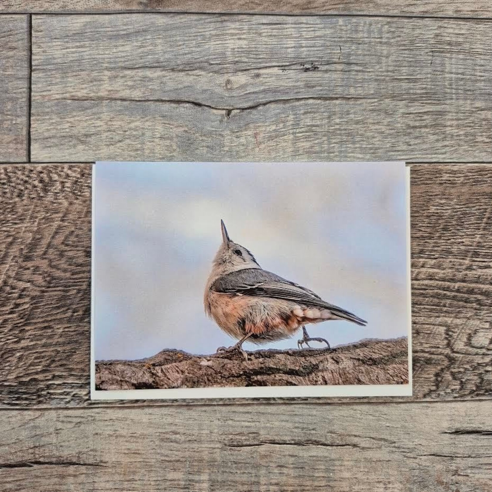 Kamala & Kyle Greeting Card - White Breasted Nuthatch