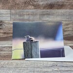Dalouie's Greeting Card - Photo Welcoming a New Day