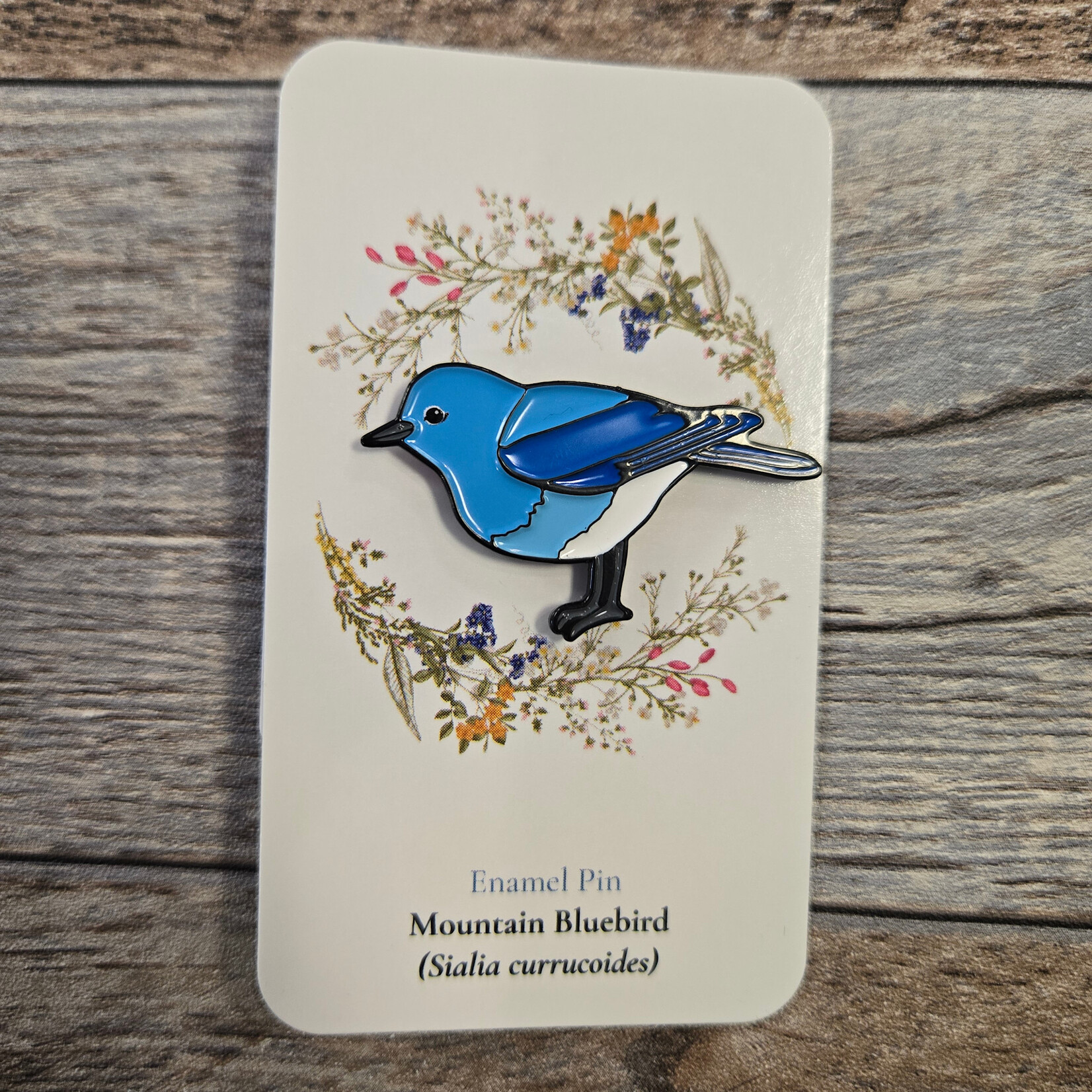 Jasper's Mountain Bluebird Enamel Pin