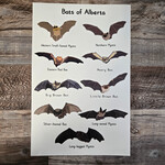 Jasper's Bats of Alberta Poster (11x17) - unframed