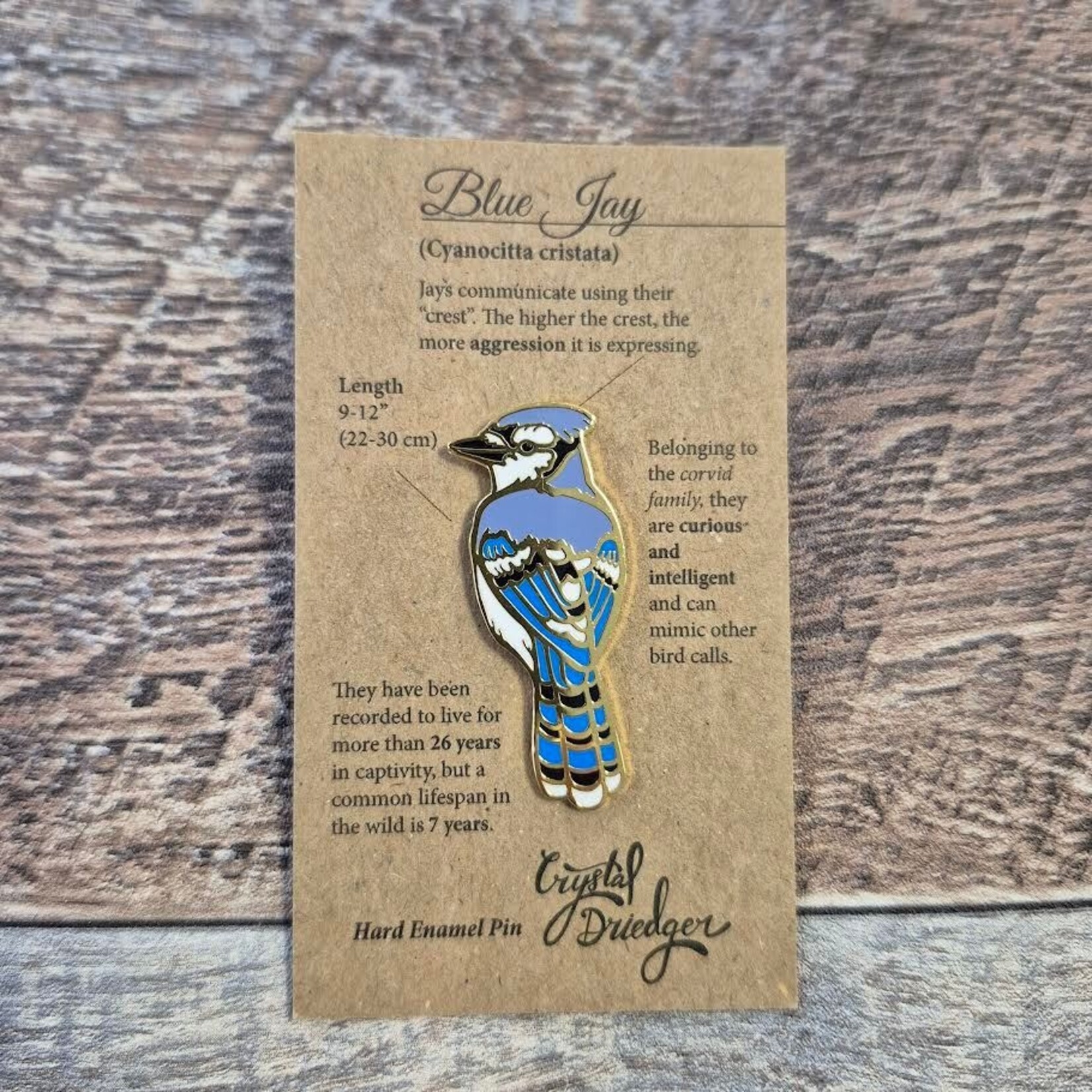 Crystal Driedger Pin - Blue Jay