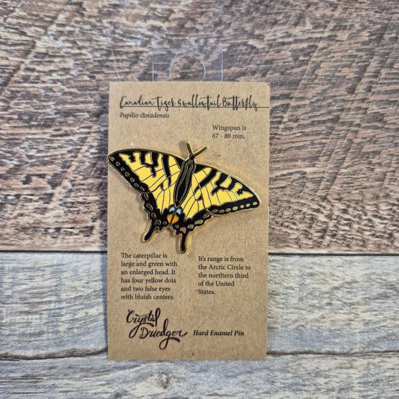 Crystal Driedger Pin - Swallowtail Butterfly