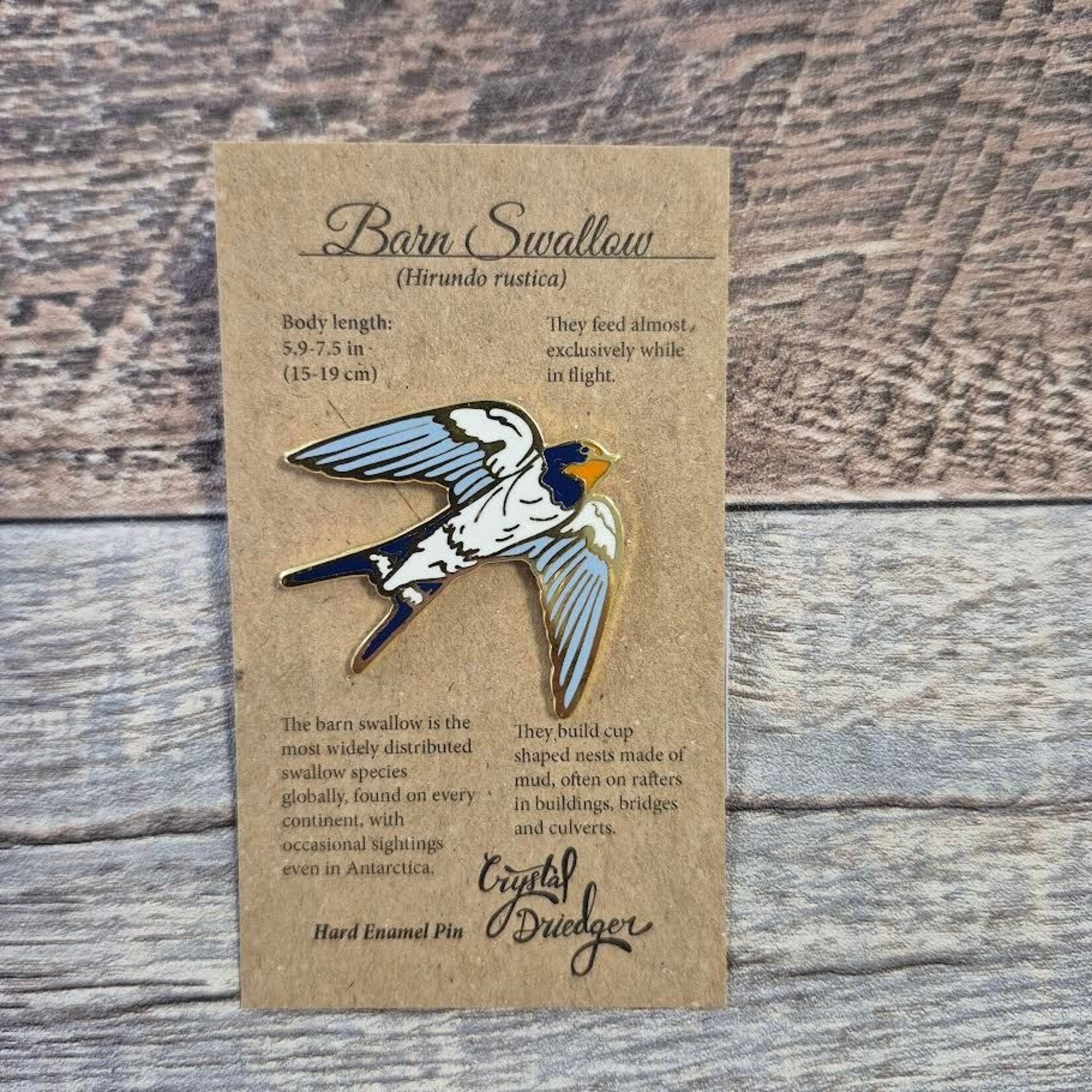 Crystal Driedger Pin - White Chested Barn Swallow