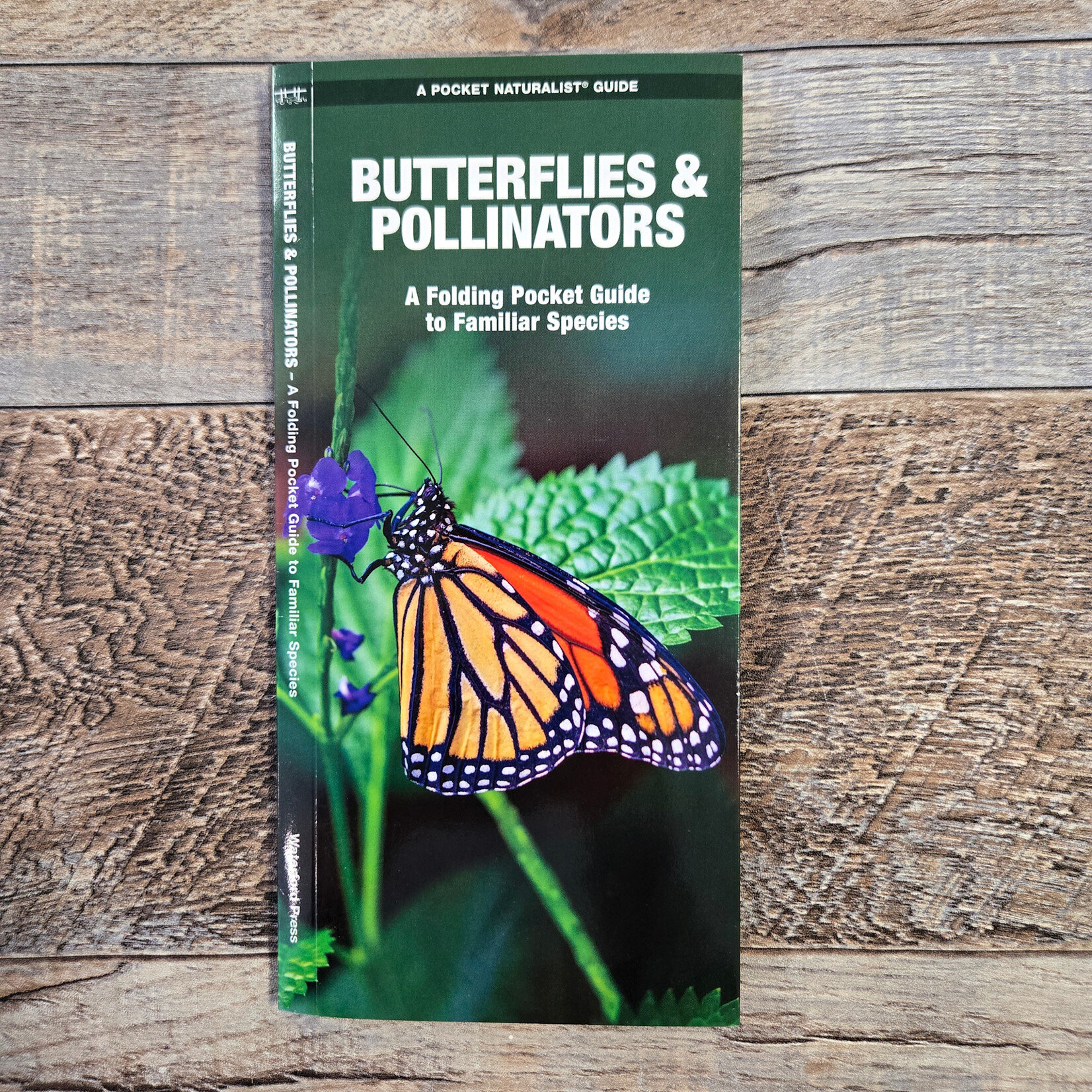 Folding Pocket Guide: Butterflies & Pollinators