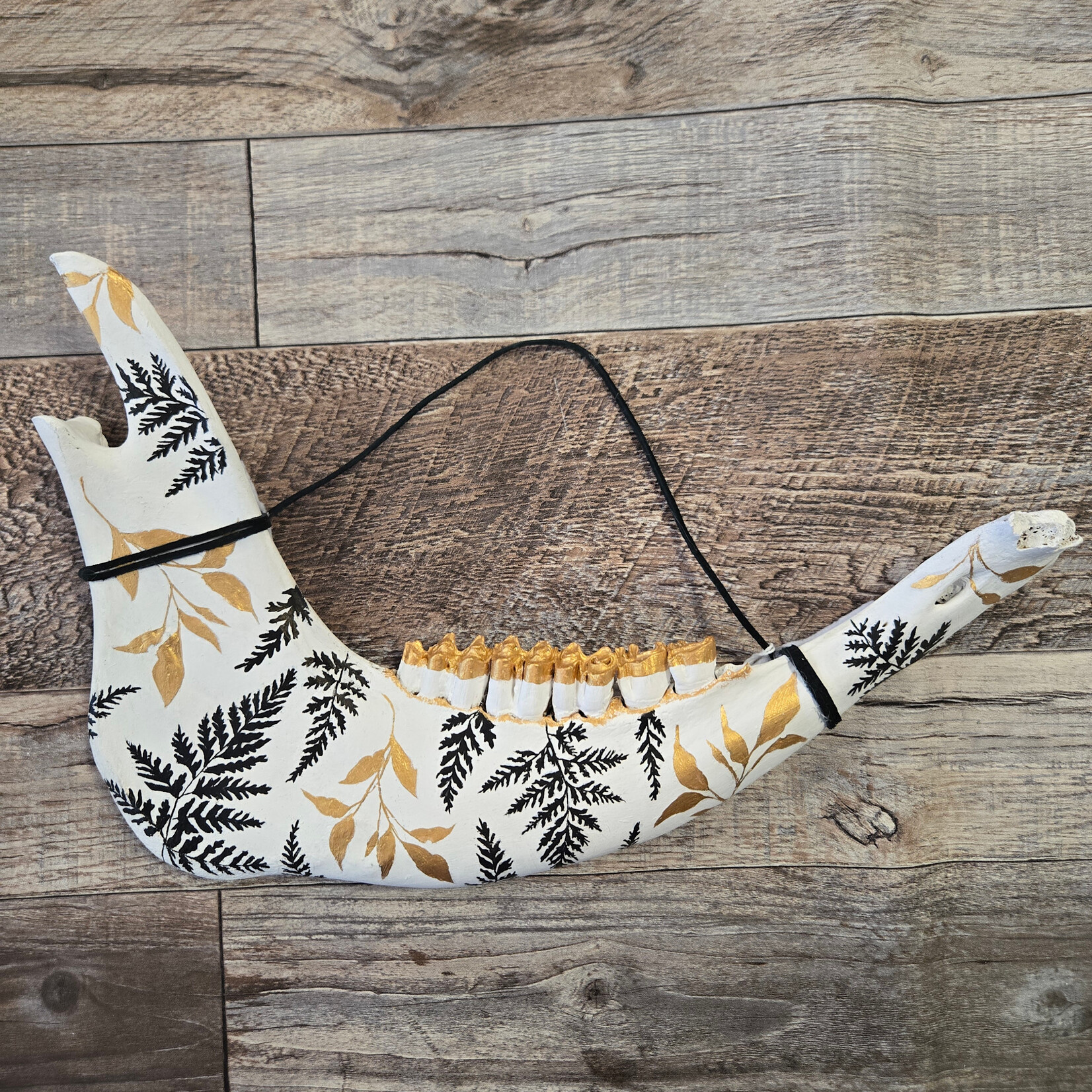 Rising Forest Oddities - Cow Jaw with Painted Ferns