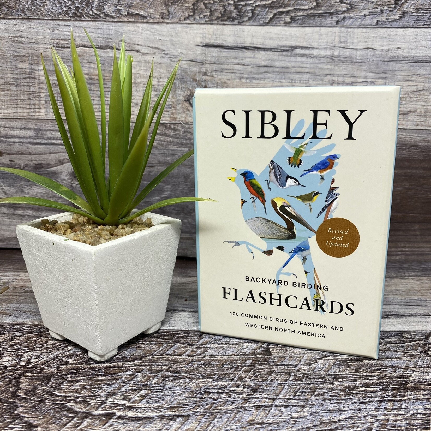 Sibley Backyard Birding Flashcards, Revised and Updated
