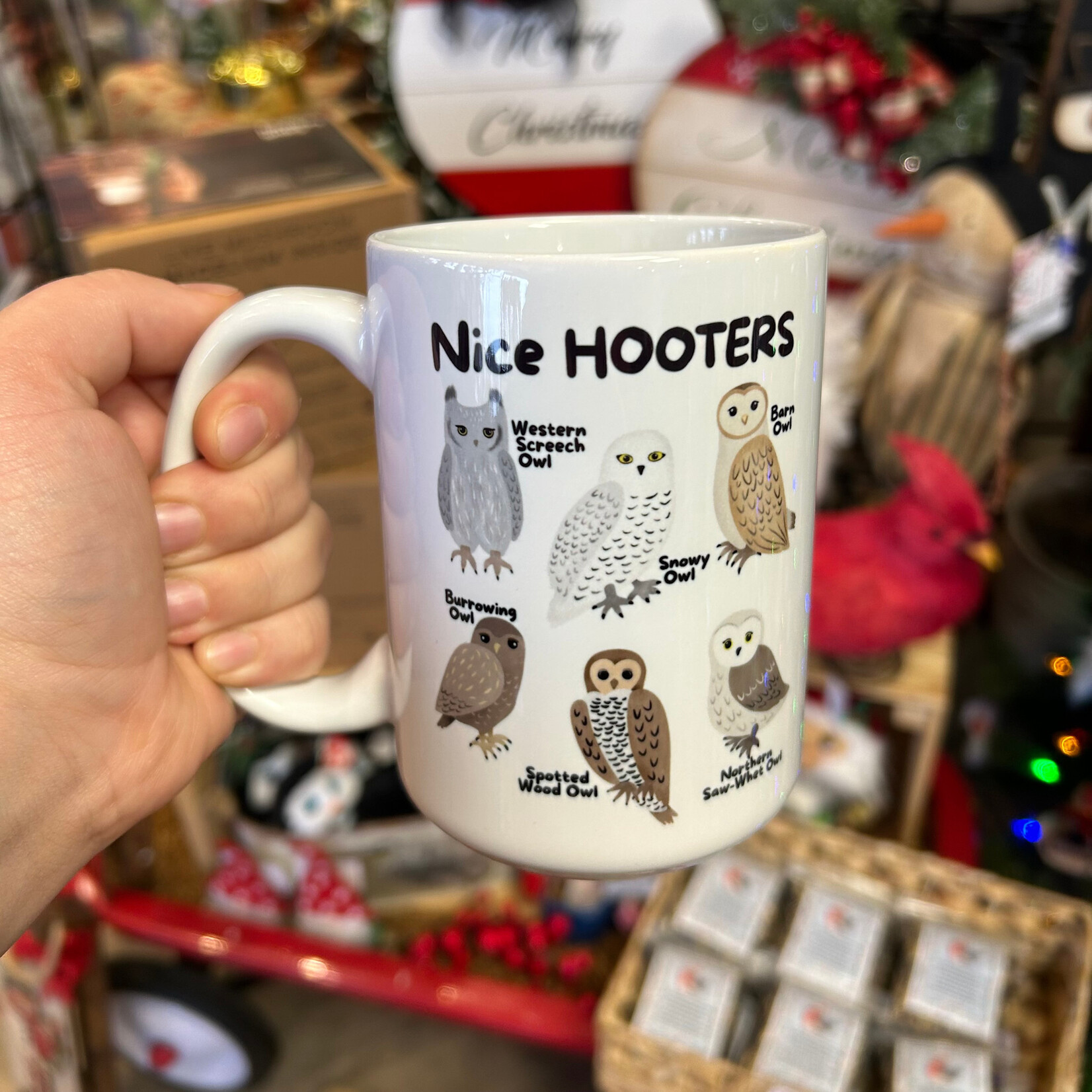 Nice Hooters Owl Mug