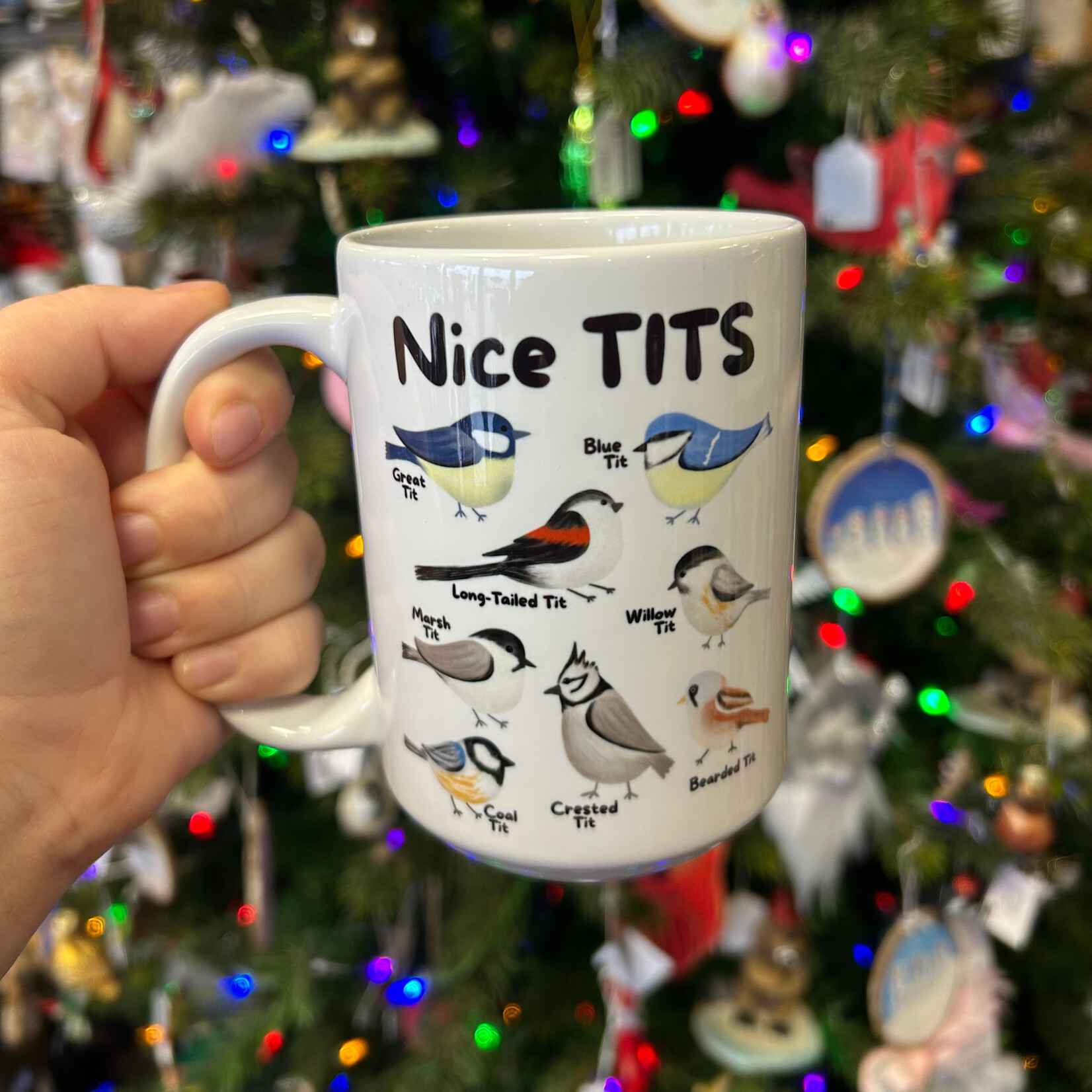 Nice Tits Bird Mug