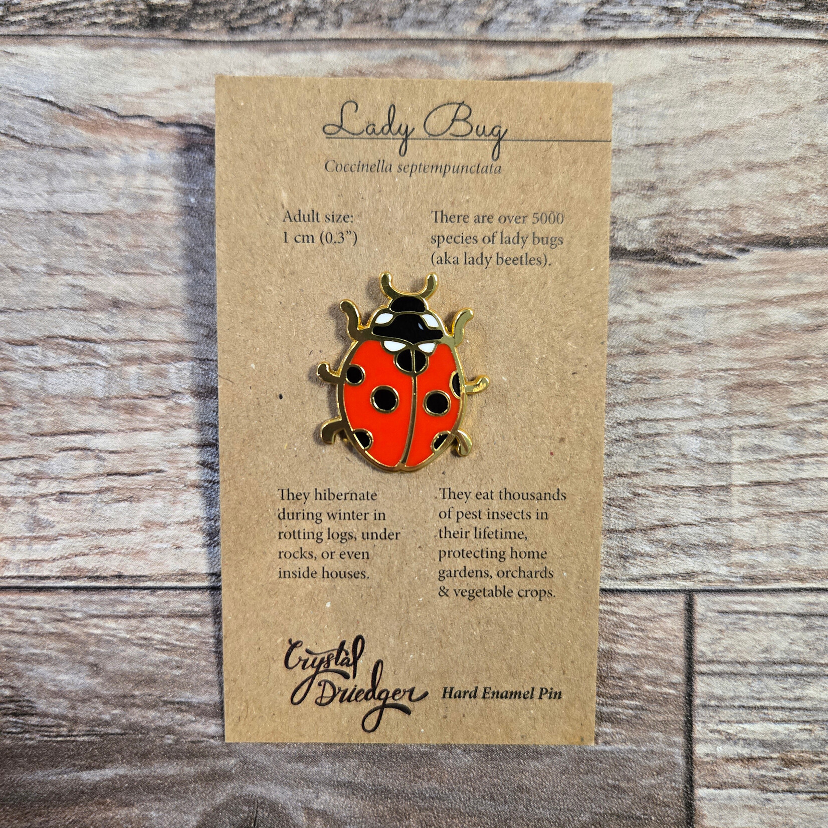 Crystal Driedger Pin - Ladybug