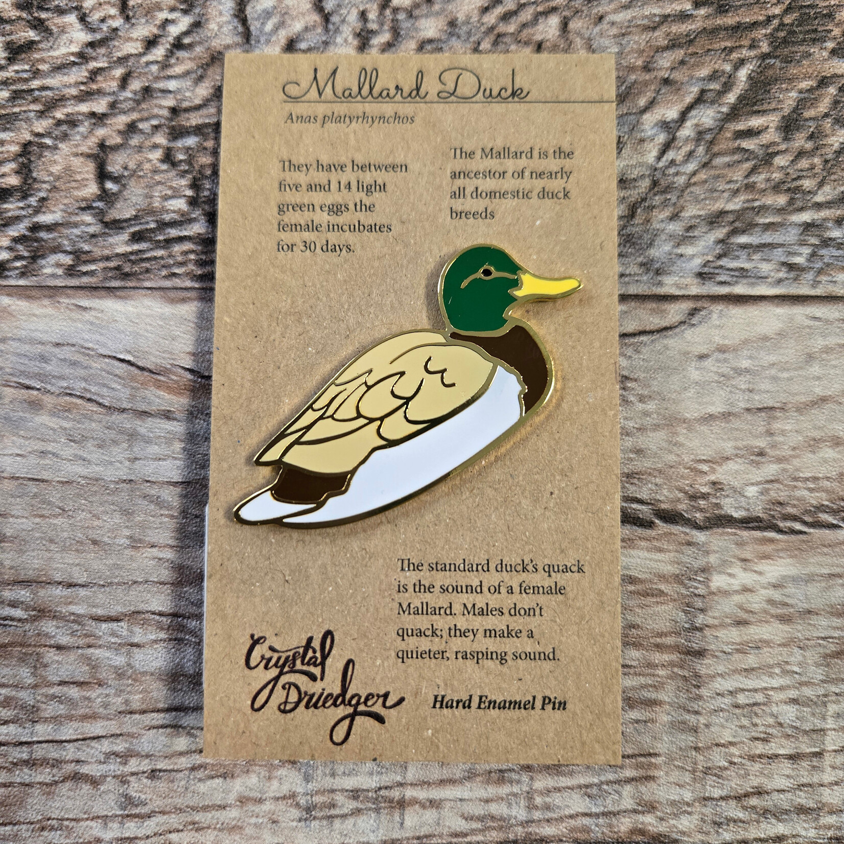 Crystal Driedger Pin - Male Mallard