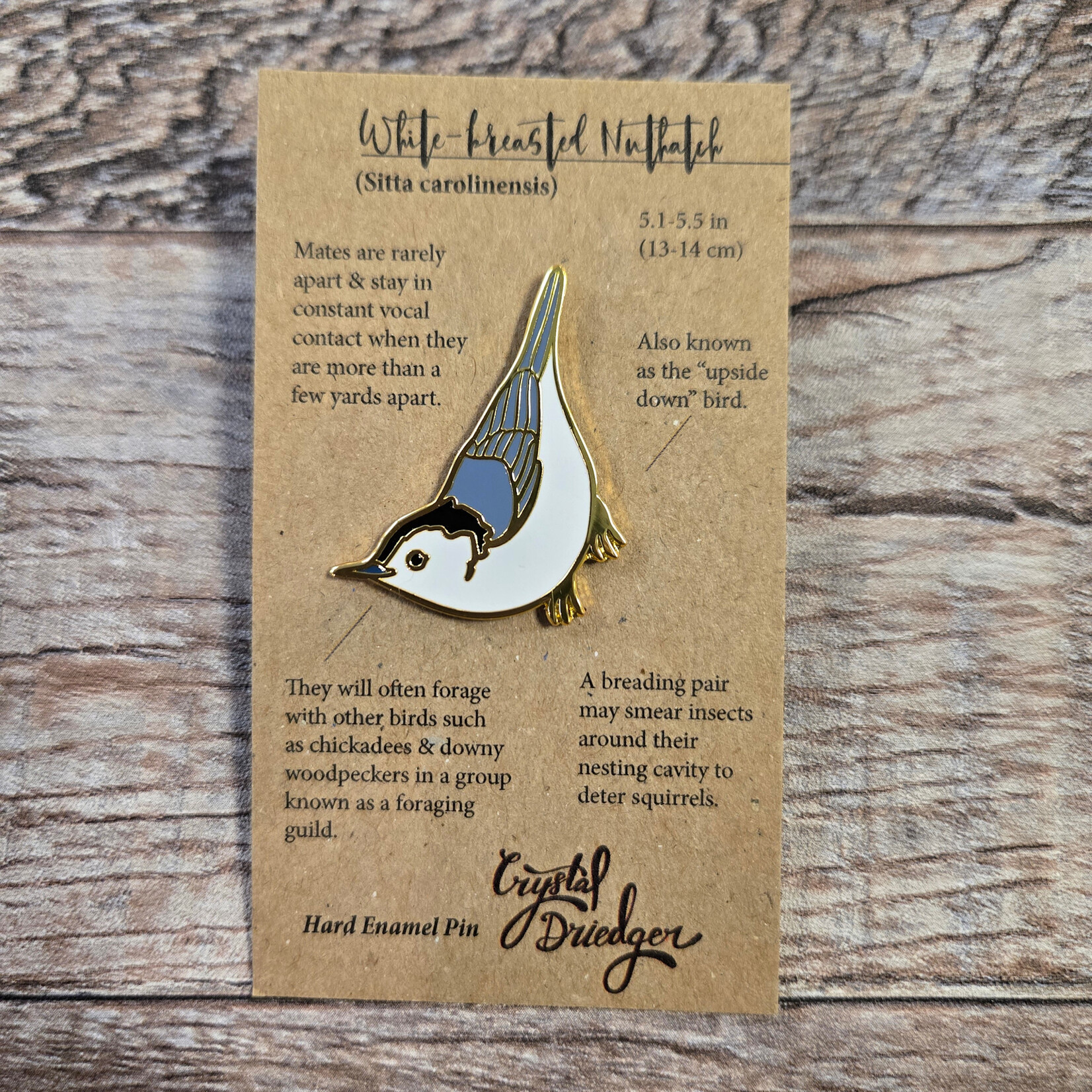 Crystal Driedger Pin - White-breasted Nuthatch