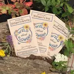 Wild About Flowers Seed Mix - Wildflowers for Butterflies
